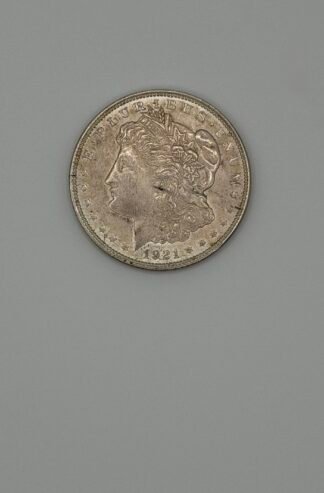 Morgan Silver Dollar Circulated (Random Year)