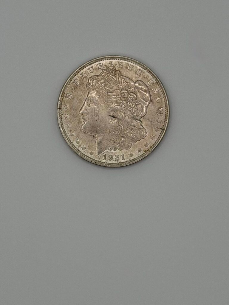Morgan Silver Dollar Circulated (Random Year)