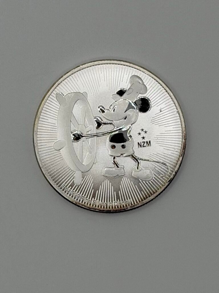 Disney Theme 1 oz .999 Silver Coin (Random Date and Design)