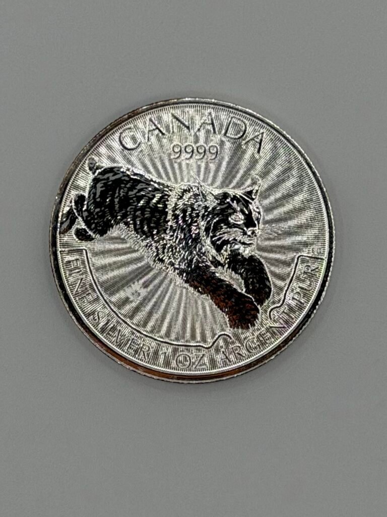 Special Canada .9999 1 oz Silver Coin BU (Random Date and Design)